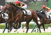 Ｒ8・メイクデビュー福島（7/5)5Rレースパネル　エスクアドラ