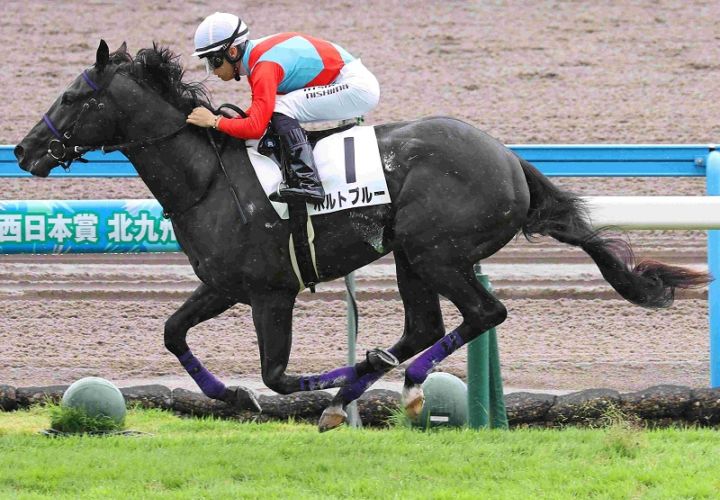 Ｒ8・メイクデビュー小倉（7/5)5Rレースパネル　ポルトブルー