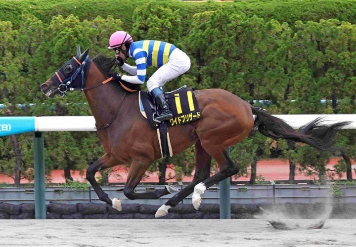 Ｒ8・大沼Sレースパネル　ワイドブリザード