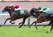 Ｒ8・北九州記念レースパネル　フリッカージャブ
