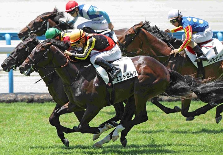 Ｒ8・メイクデビュー小倉（7/12)5Rレースパネル　エルドボルグ