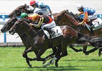 Ｒ8・メイクデビュー小倉（7/12)5Rレースパネル　エルドボルグ