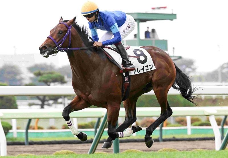 Ｒ8・メイクデビュー函館（7/11)5Rレースパネル　フレイコン