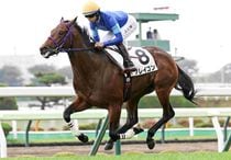 Ｒ8・メイクデビュー函館（7/11)5Rレースパネル　フレイコン