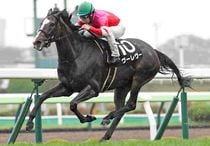 競馬,レース写真パネル | サンスポe-shop