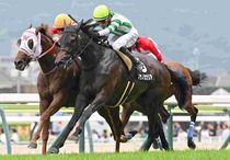 競馬,レース写真パネル | サンスポe-shop