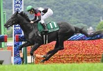 競馬,レース写真パネル | サンスポe-shop