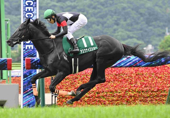 Ｒ8・七夕賞レースパネル　アスクナイスショー