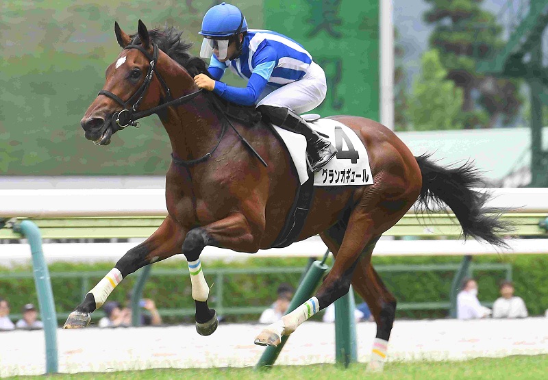 Ｒ8・メイクデビュー福島（7/19)5Rレースパネル　グランオギュール