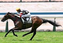 Ｒ8・メイクデビュー小倉（7/19)5Rレースパネル　ユーダブルワン