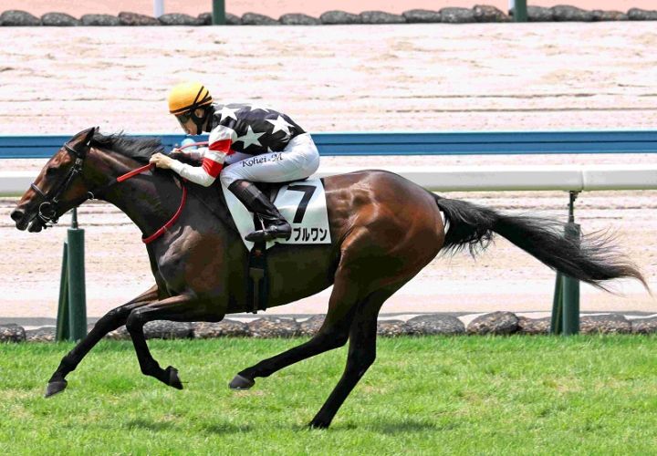 Ｒ8・メイクデビュー小倉（7/19)5Rレースパネル　ユーダブルワン