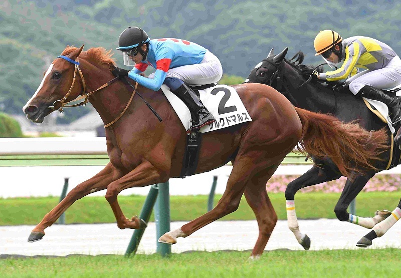 Ｒ8・メイクデビュー福島（7/18)5Rレースパネル　シルクドマルス