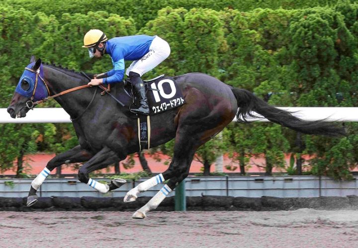 Ｒ8・マリーンSレースパネル　ウェイワードアクト