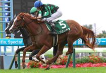Ｒ8・函館2歳Sレースパネル　フェリチタ