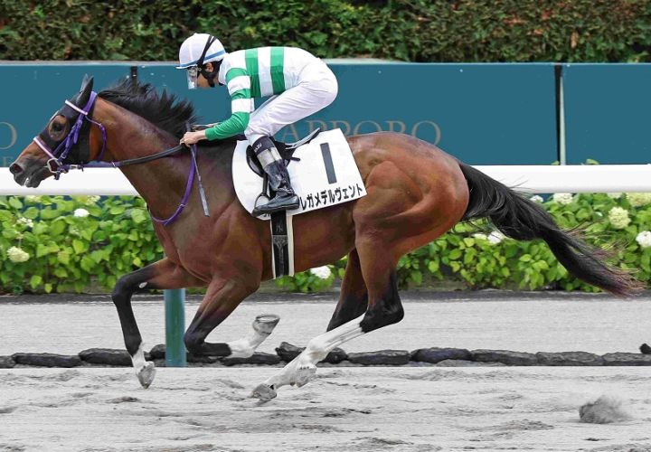 Ｒ8・メイクデビュー札幌（7/25)5Rレースパネル　レガメデルヴェント