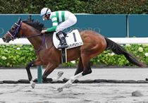 Ｒ8・メイクデビュー札幌（7/25)5Rレースパネル　レガメデルヴェント