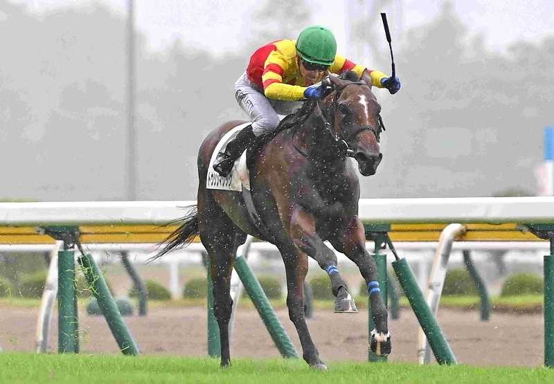 Ｒ8・メイクデビュー新潟（7/26)2Rレースパネル　トウシンマジック