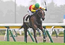 Ｒ8・メイクデビュー新潟（7/26)2Rレースパネル　トウシンマジック