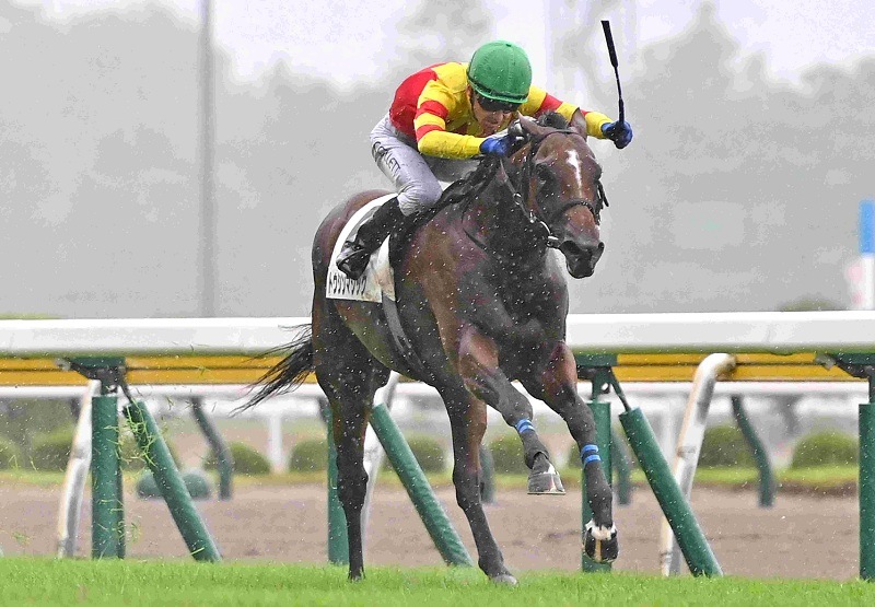 Ｒ8・メイクデビュー新潟（7/26)2Rレースパネル　トウシンマジック