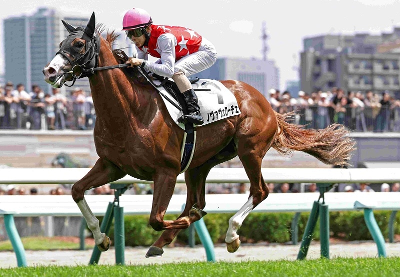 Ｒ8・メイクデビュー札幌（7/26)5Rレースパネル　ノヴァヴェローチェ