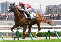 Ｒ8・メイクデビュー札幌（7/26)5Rレースパネル　ノヴァヴェローチェ