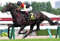 Ｒ8・札幌日経賞レースパネル　ミラージュナイト