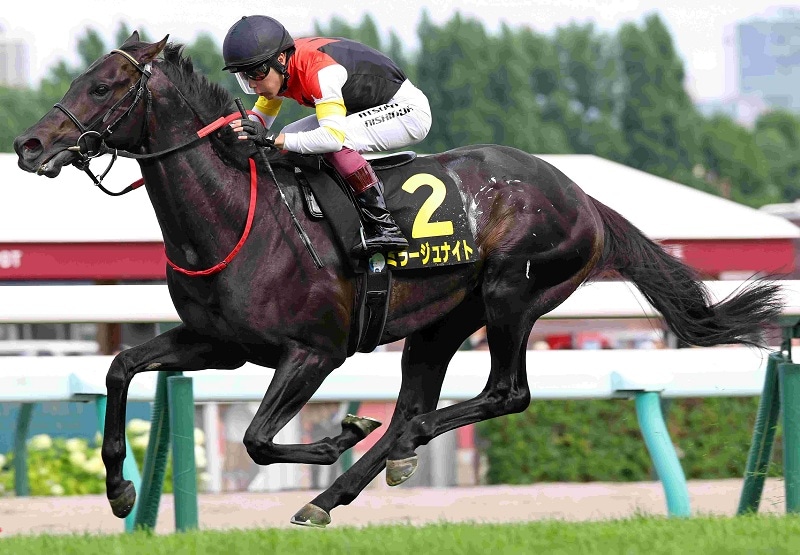 Ｒ8・札幌日経賞レースパネル　ミラージュナイト