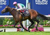 Ｒ8・キングジョージ6世＆クイーンエリザベスSレースパネル　カルパナ