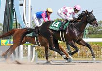 Ｒ8・東海Sレースパネル　マテンロウコマンド