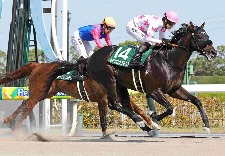 Ｒ8・東海Sレースパネル　マテンロウコマンド