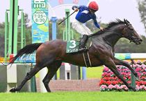 Ｒ8・関屋記念レースパネル　アンパドゥ