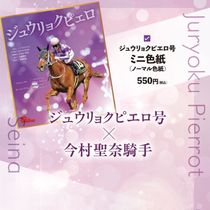 名馬全史色紙コレクション ジュウリョクピエロ号