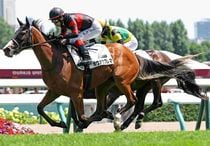 Ｒ8・メイクデビュー札幌（8/2)5Rレースパネル　ホウオウプレマ