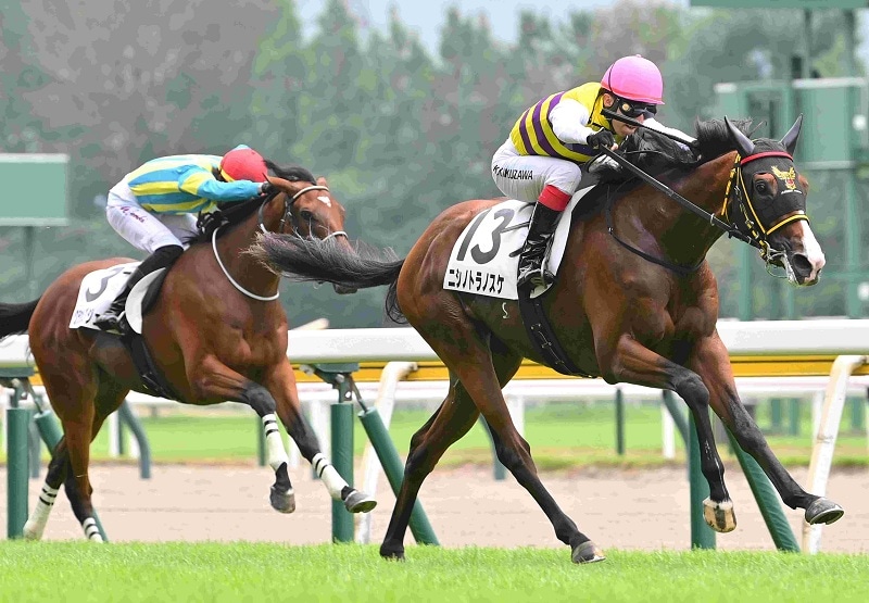Ｒ8・メイクデビュー新潟（8/2)3Rレースパネル　ニシノトラノスケ