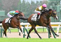 Ｒ8・メイクデビュー新潟（8/2)3Rレースパネル　ニシノトラノスケ