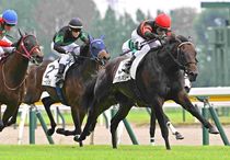 Ｒ8・メイクデビュー新潟（8/1)2Rレースパネル　ホウオウモノポリー
