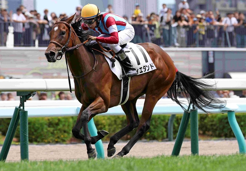 Ｒ8・メイクデビュー札幌（8/9)5Rレースパネル　ウィエダンド