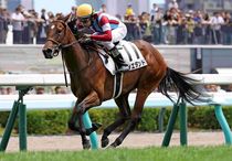 Ｒ8・メイクデビュー札幌（8/9)5Rレースパネル　ウィエダンド