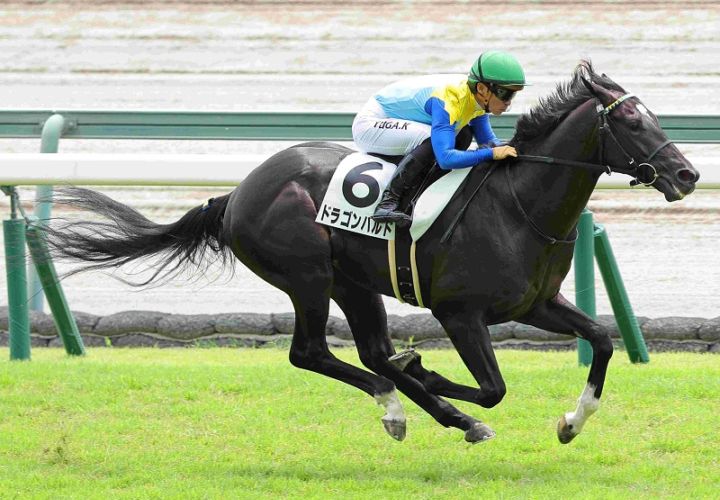 Ｒ8・メイクデビュー中京（8/9)3Rレースパネル　ドラゴンバルド