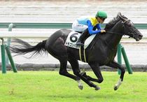 Ｒ8・メイクデビュー中京（8/9)3Rレースパネル　ドラゴンバルド
