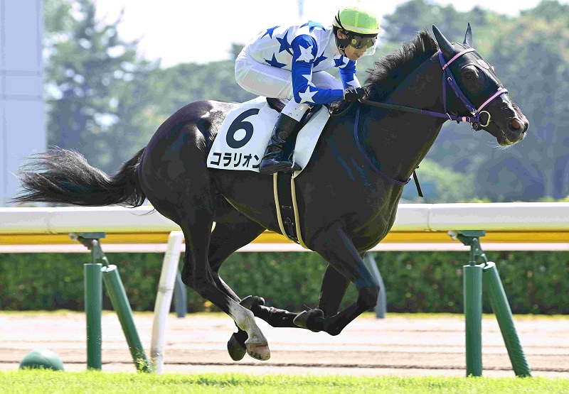 Ｒ8・メイクデビュー新潟（8/8)3Rレースパネル　コラリオン