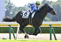 Ｒ8・メイクデビュー新潟（8/8)3Rレースパネル　コラリオン
