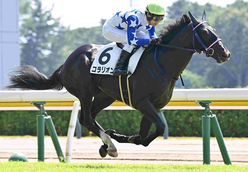 Ｒ8・メイクデビュー新潟（8/8)3Rレースパネル　コラリオン