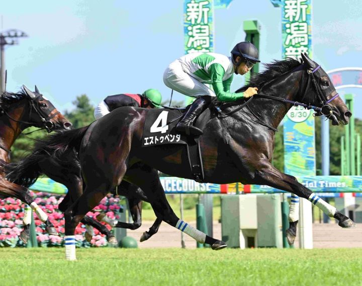 Ｒ8・関越Ｓレースパネル　エストゥペンダ