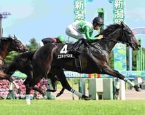 Ｒ8・関越Ｓレースパネル　エストゥペンダ