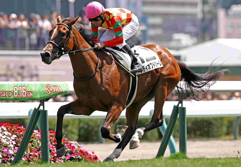 Ｒ8・メイクデビュー札幌（8/16)5Rレースパネル　シティオブドリーム