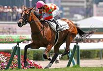 Ｒ8・メイクデビュー札幌（8/16)5Rレースパネル　シティオブドリーム