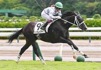 Ｒ8・メイクデビュー新潟（8/16)4Rレースパネル　トップレイアー