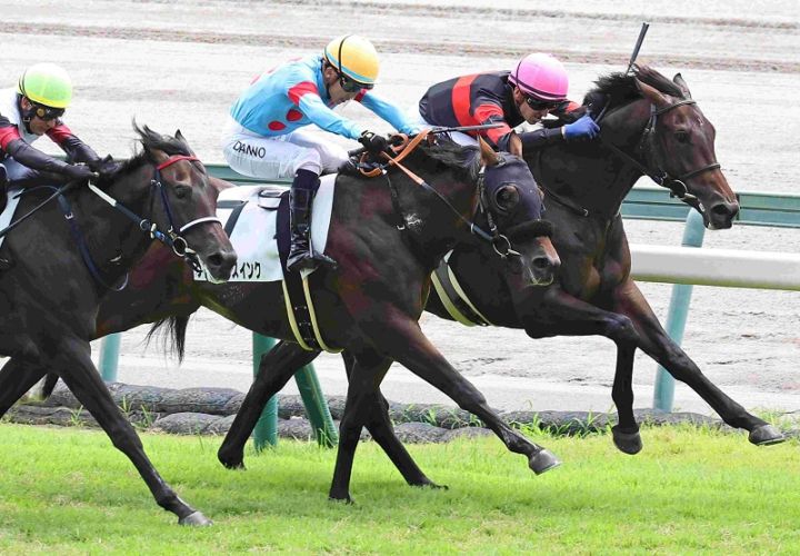 Ｒ8・メイクデビュー中京（8/16)3Rレースパネル　ホウオウワールド