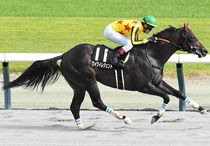Ｒ8・NST賞レースパネル　ワイワイレジェンド